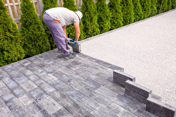 Best Professional Driveway Pavers  in Lake Grove, NY