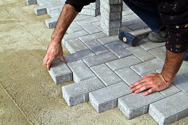 Best Driveway Paving Contractor  in Lake Grove, NY